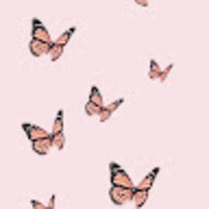 Meet your Posher, Jamielee